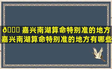 🐕 嘉兴南湖算命特别准的地方（嘉兴南湖算命特别准的地方有哪些）